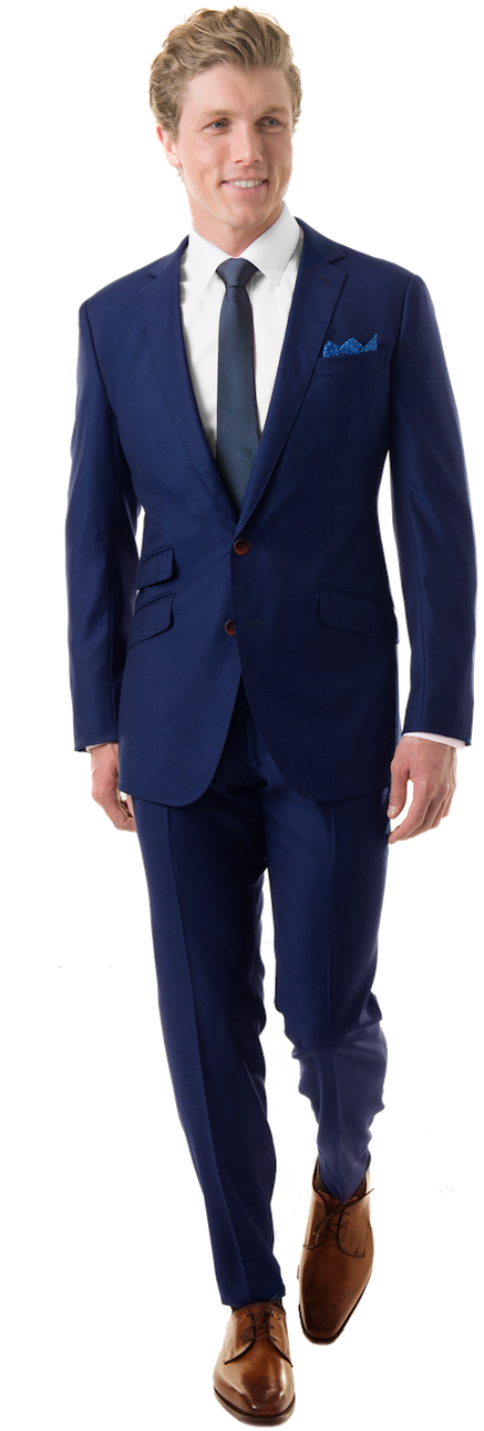Professional Manin Blue Suit PNG