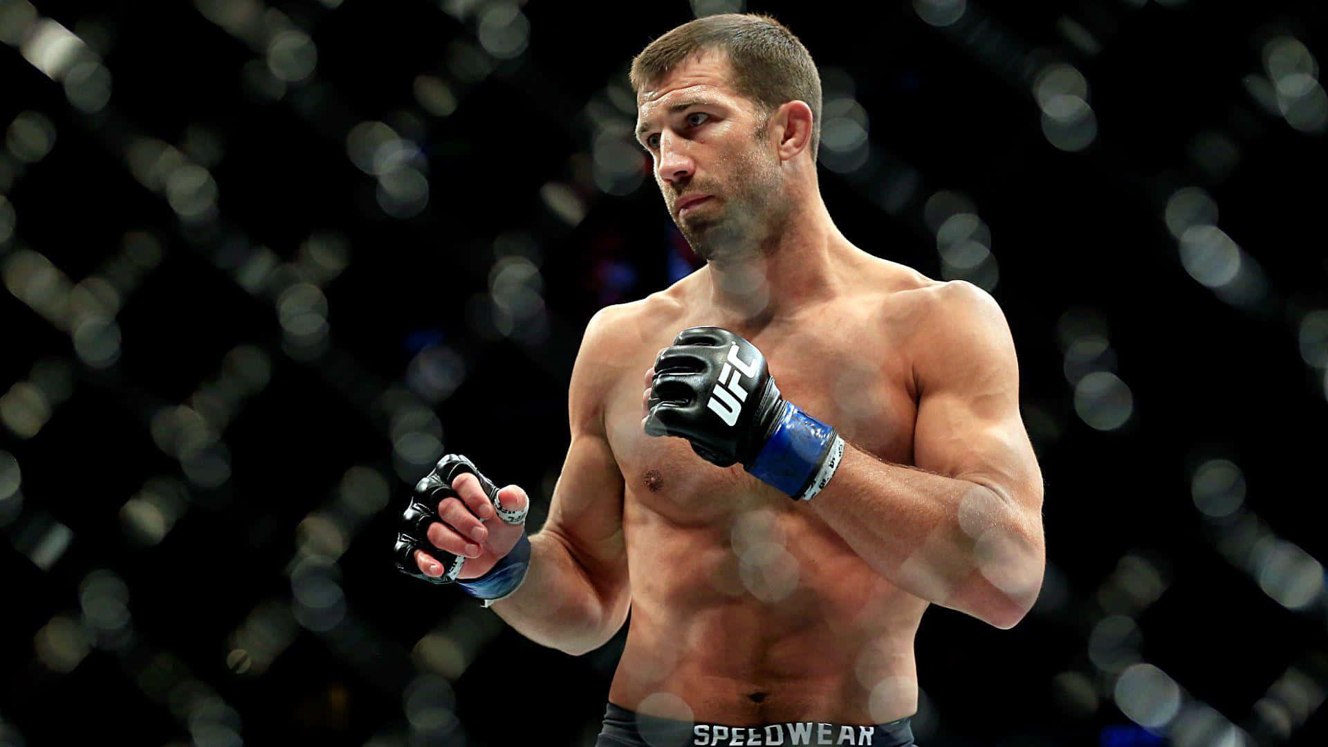 Professional MMA Player Luke Rockhold 2015 Middleweight Event Wallpaper