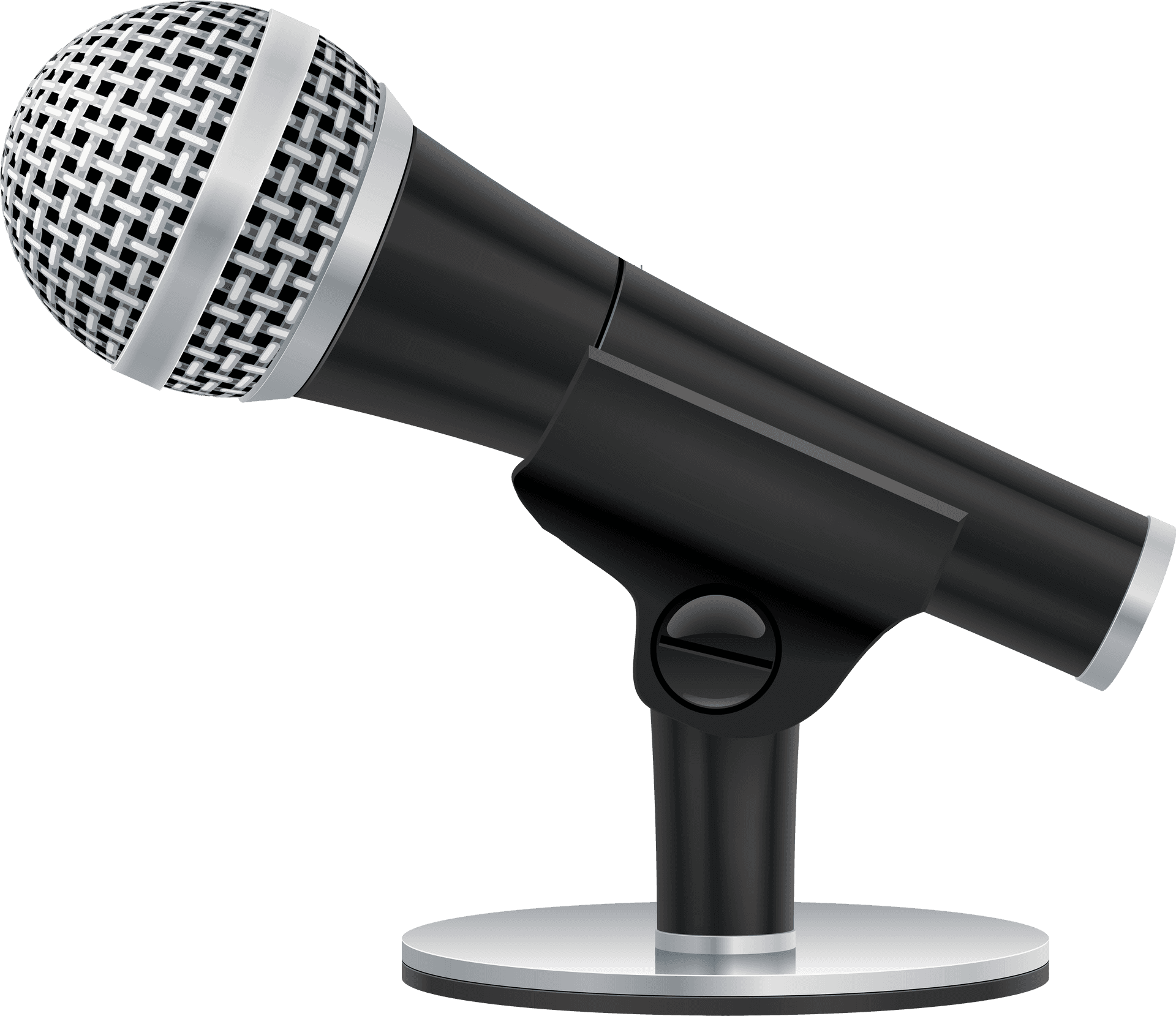 Professional Studio Microphone.png PNG