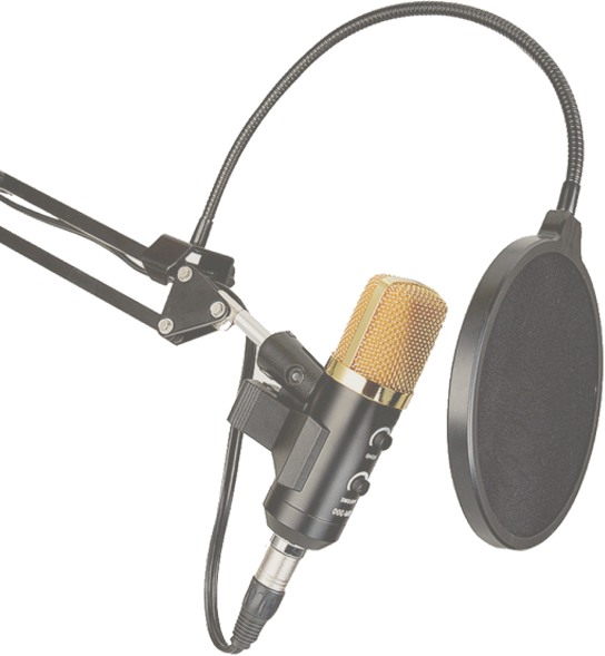 Professional Studio Microphone With Pop Filter PNG