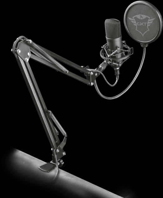 Professional Studio Microphonewith Boom Arm PNG
