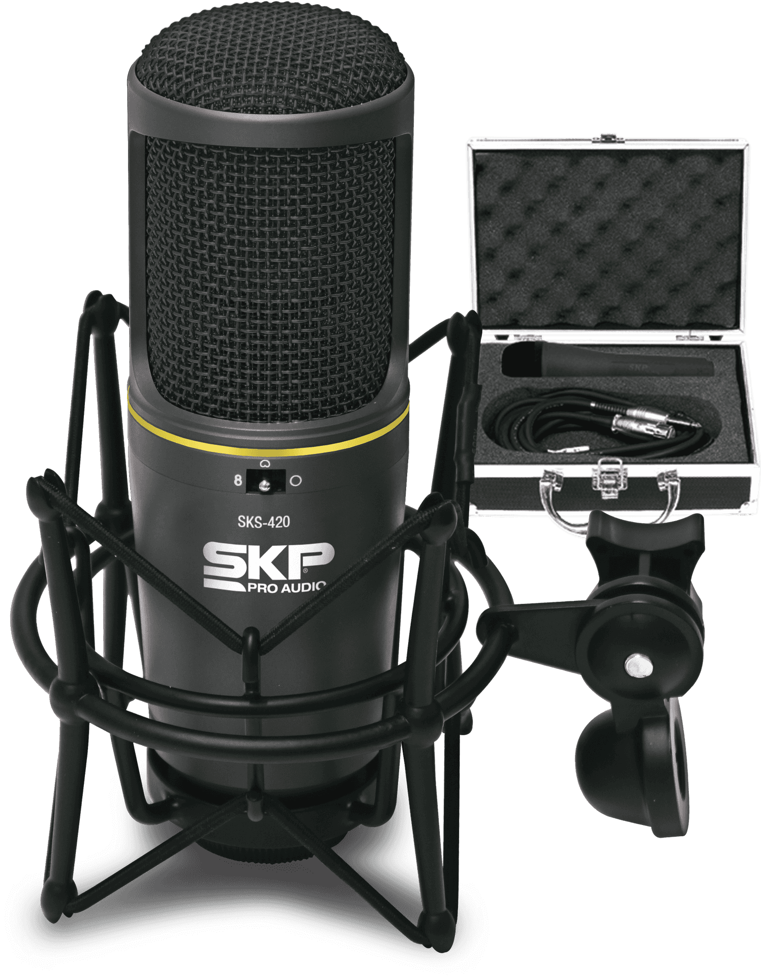 Professional Studio Microphonewith Case PNG