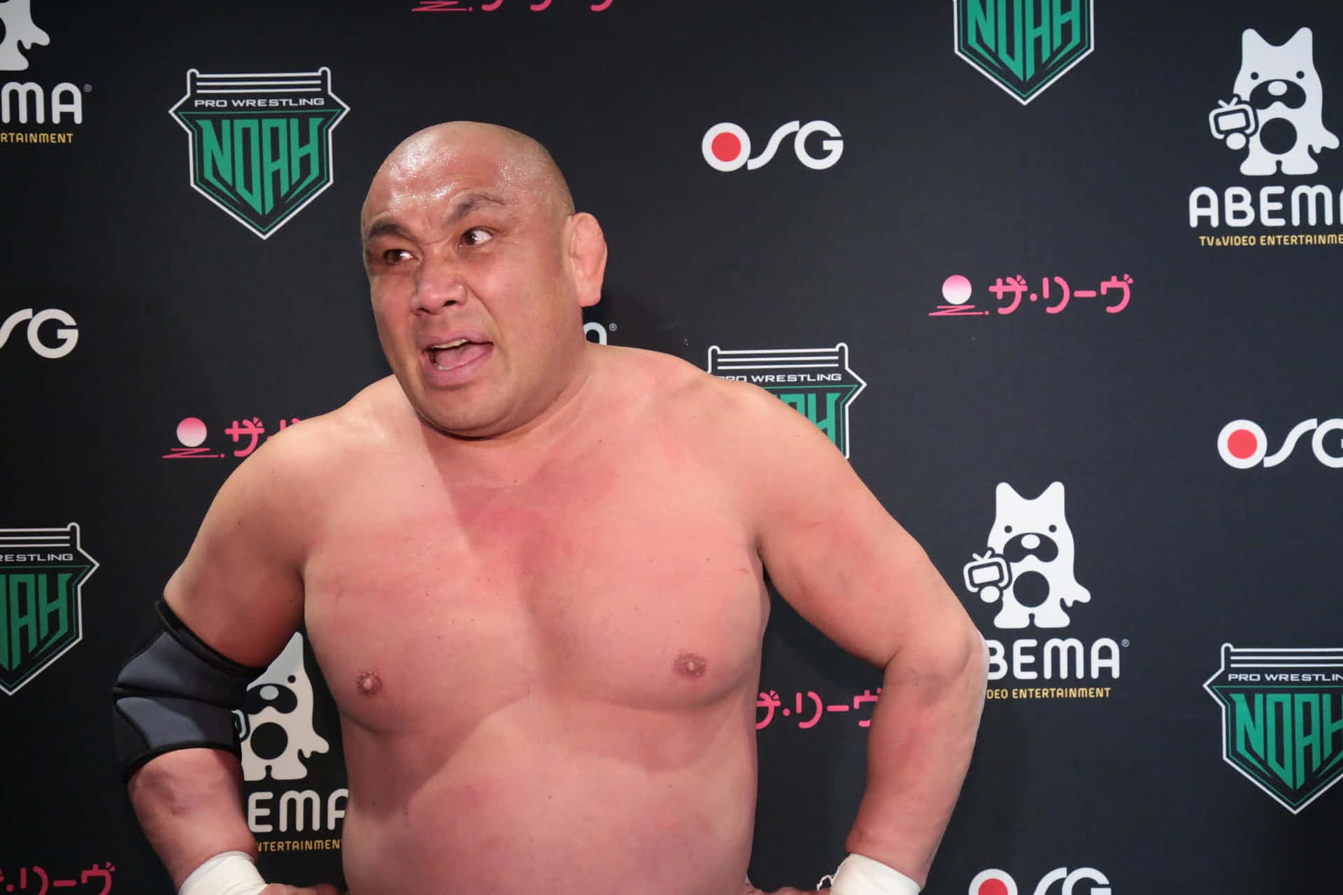 Professional Wrestler Kazuyuki Fujita Medium Shot Wallpaper