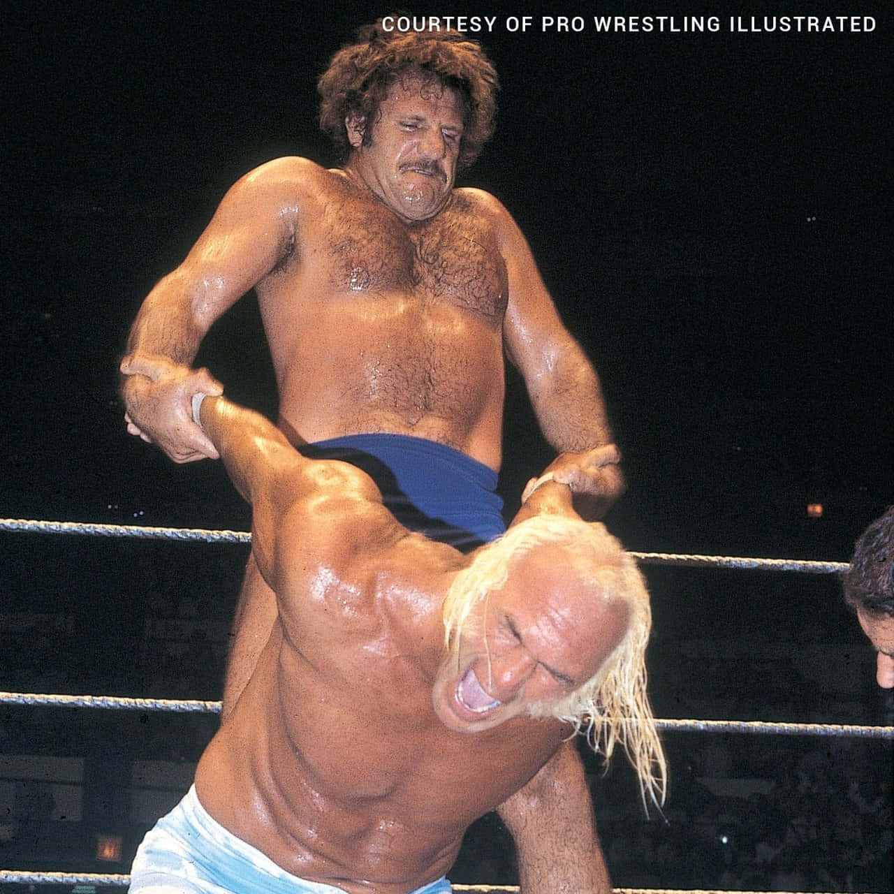 Professional Wrestlers Bruno Sammartino And Superstar Billy Graham Wwwf Championship Picture