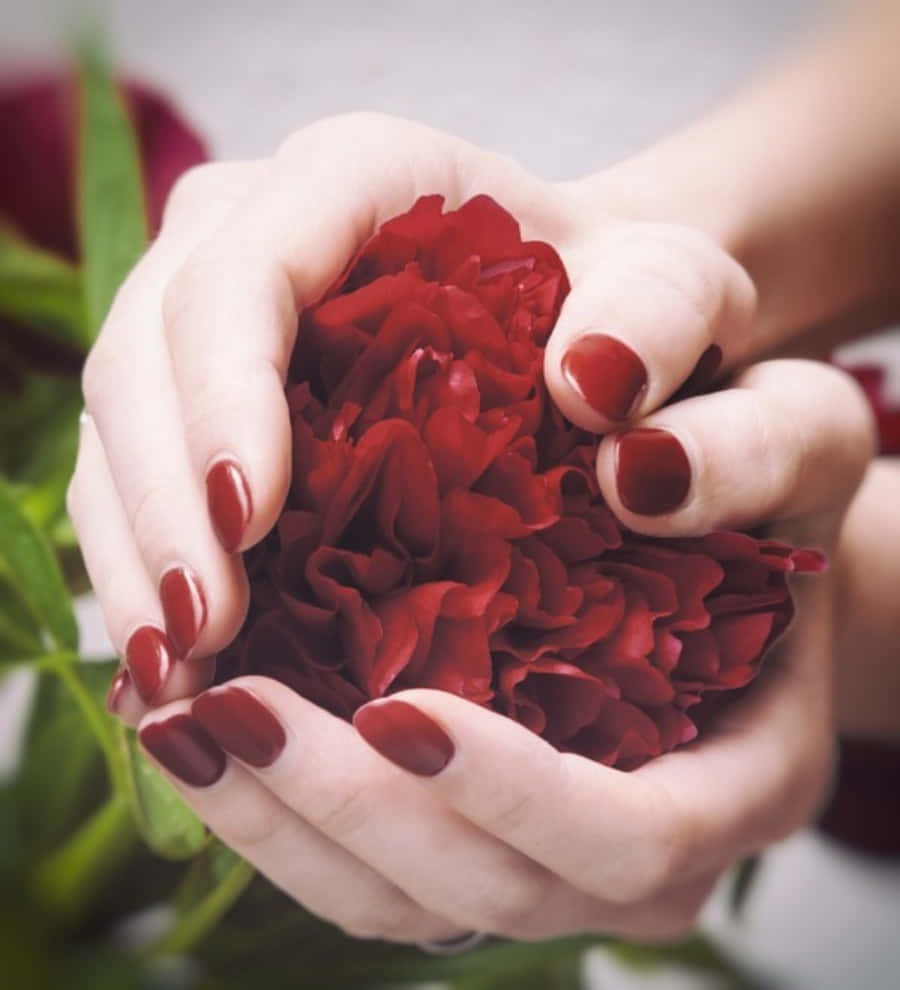 Piget Hendes Hænder Holder Blomst Profil Billede