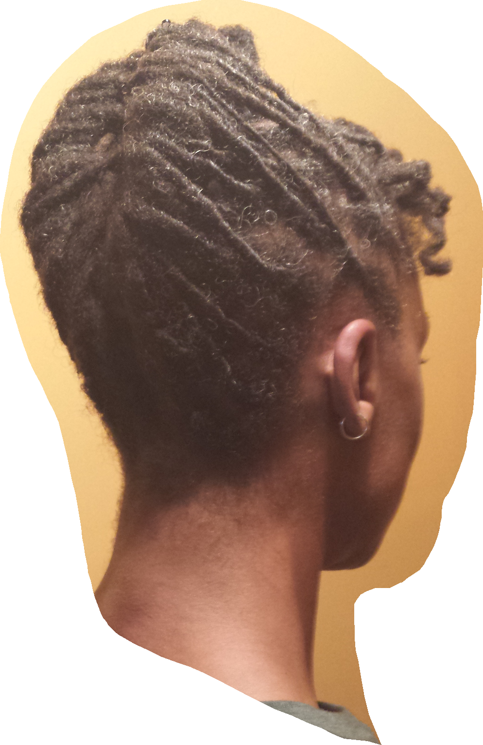 Profile View Dreadlocks Hairstyle PNG