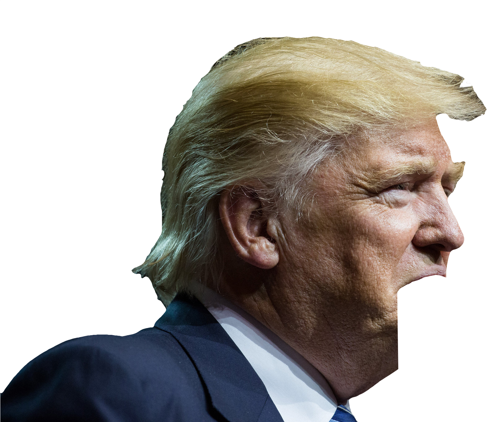 Profileof Donald Trump PNG