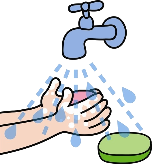 Proper Hand Washing Technique PNG
