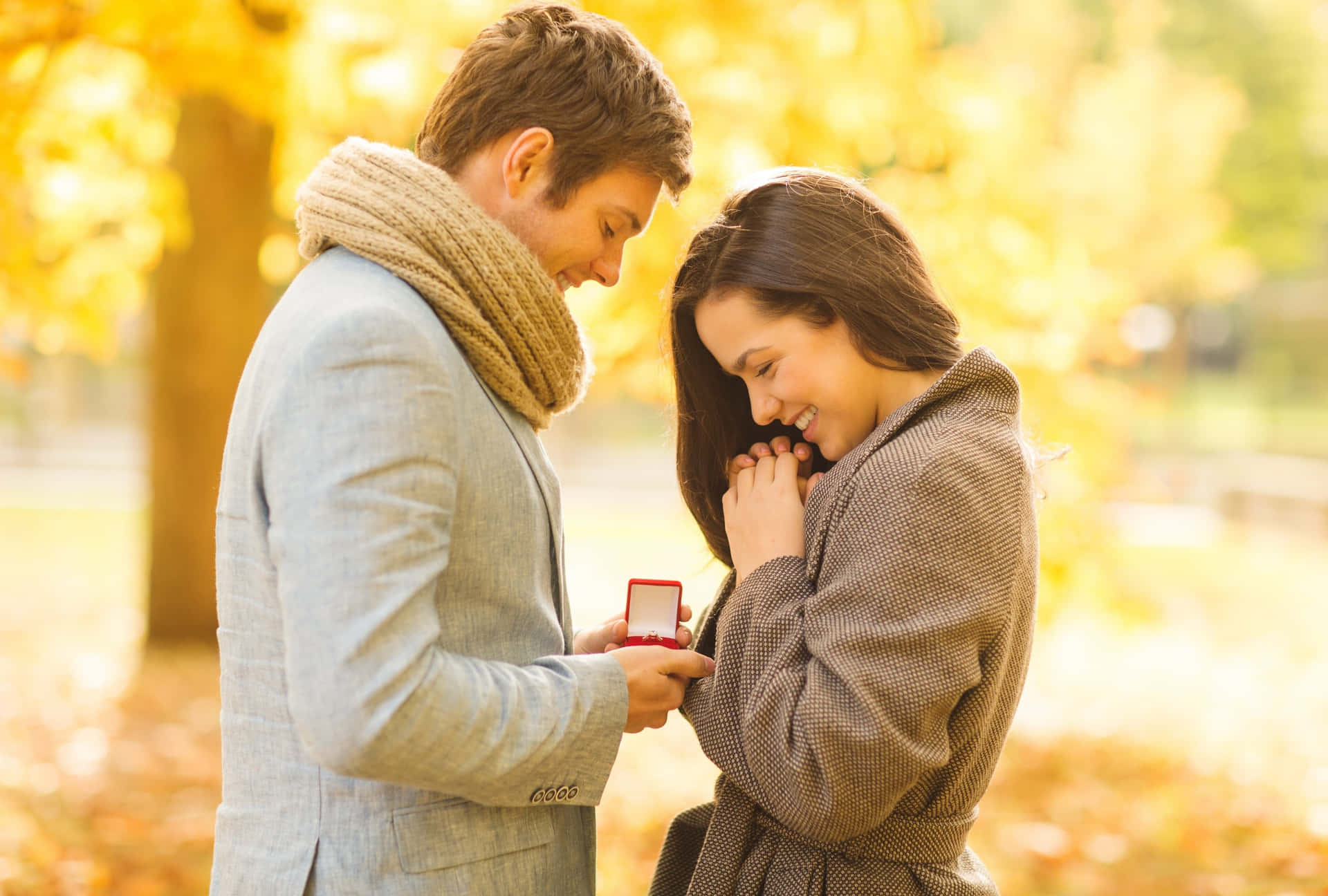 A romantic proposal in Paris