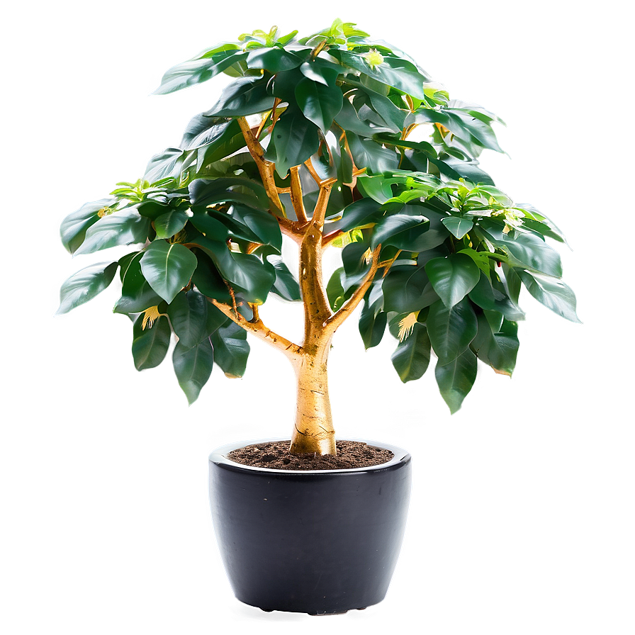 Prosperous Money Tree Image Png 13 PNG