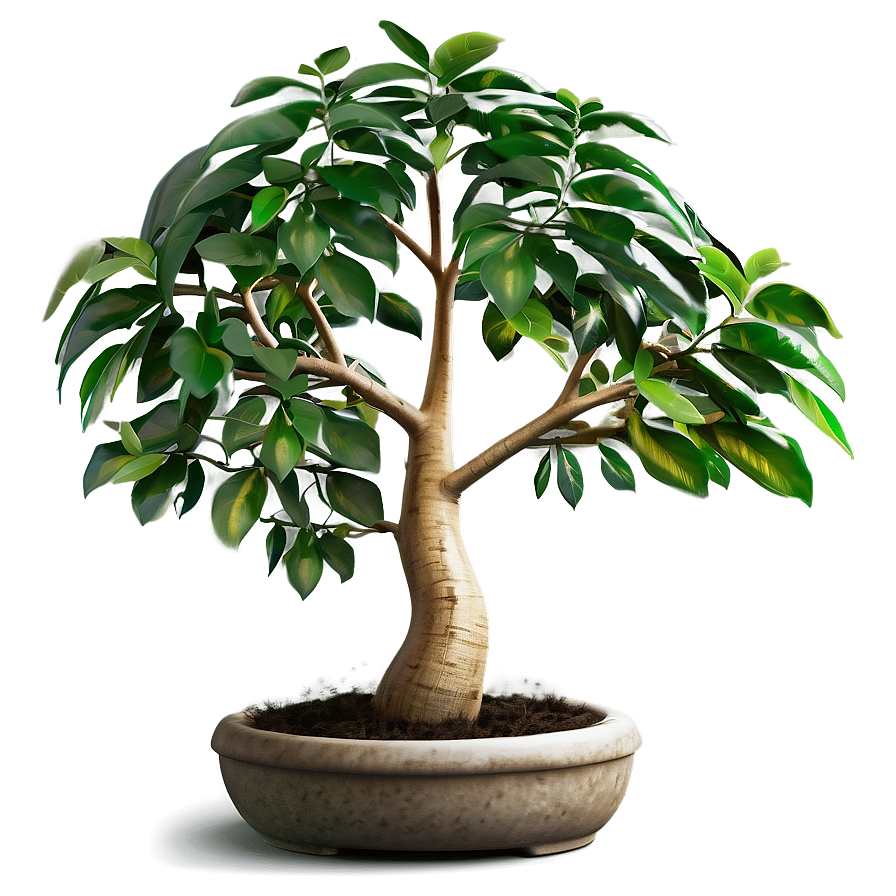 Prosperous Money Tree Image Png 75 PNG
