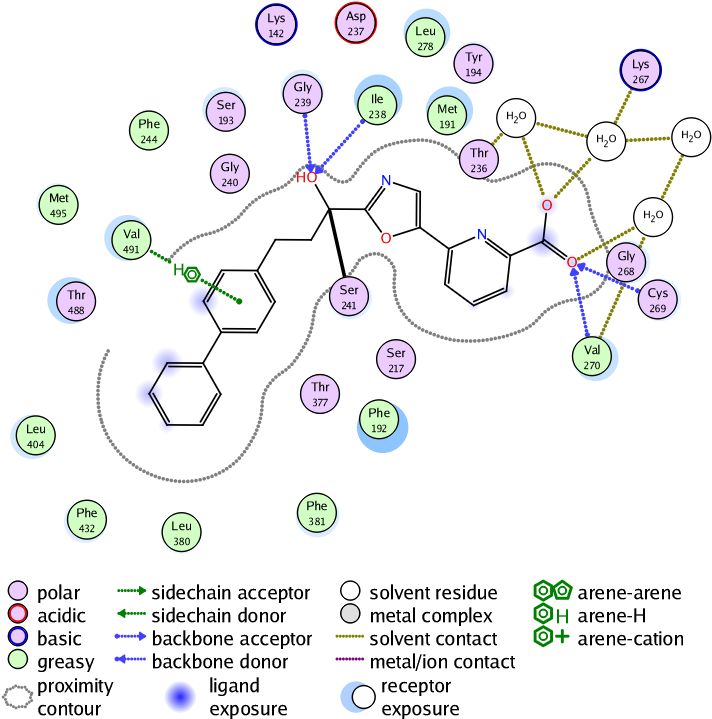 Protein Ligand Interaction Map PNG