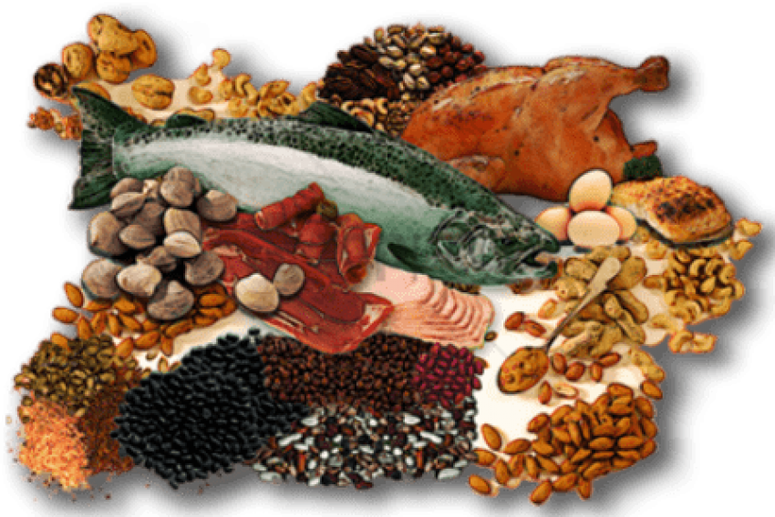 Protein Sources Collage PNG