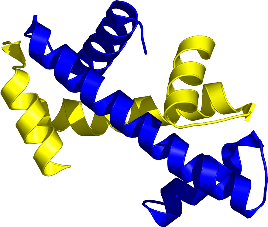 Protein Structure3 D Model PNG