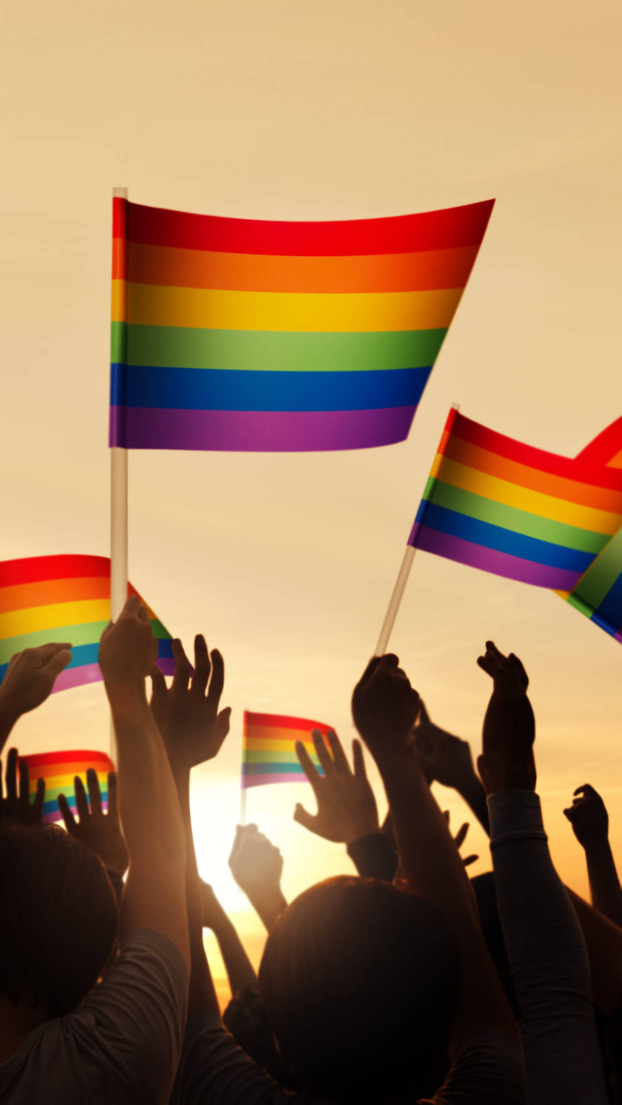 Protest Rainbow Flags Lgbt Phone Background