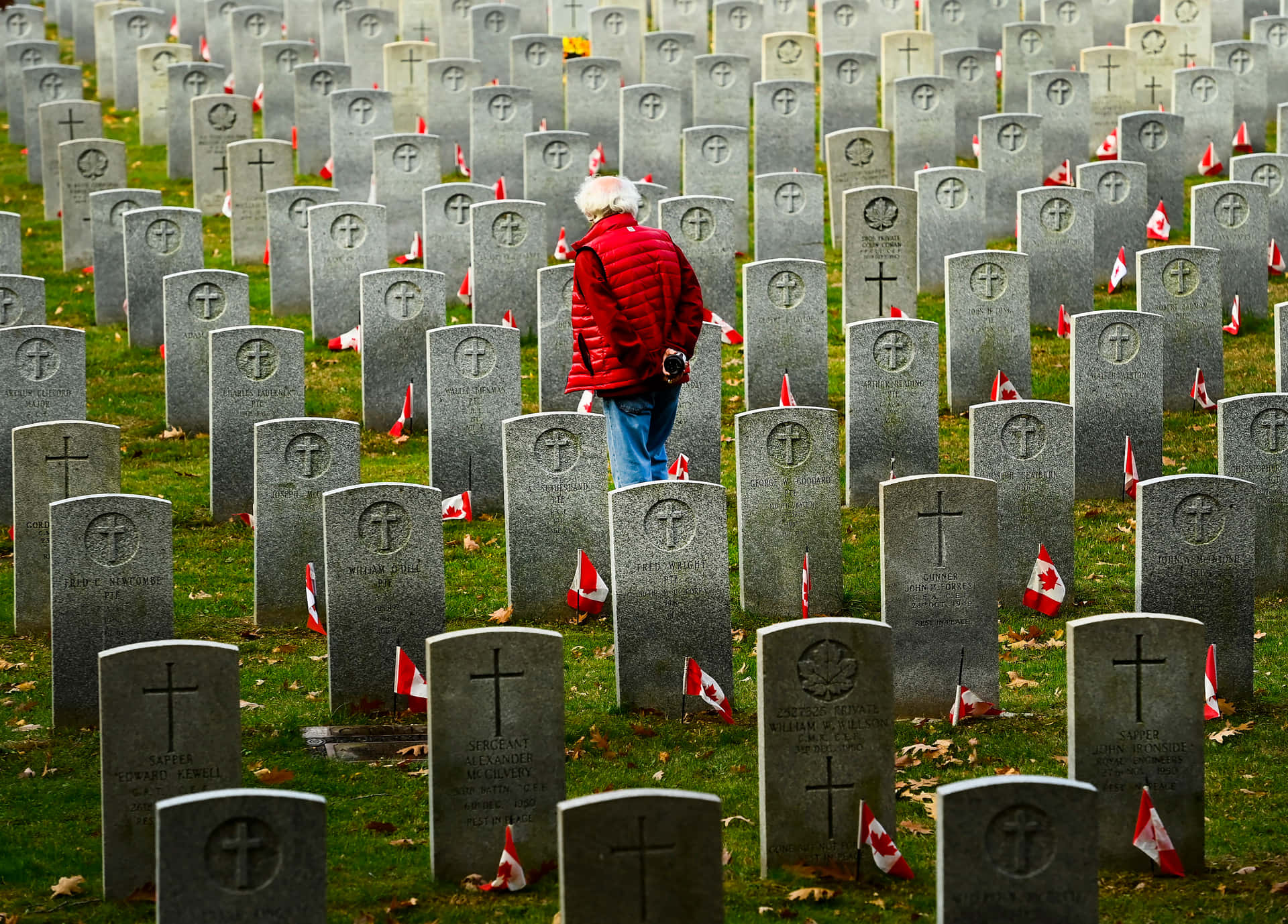 Proud Canadians Paying Homage On Remembrance Day Wallpaper