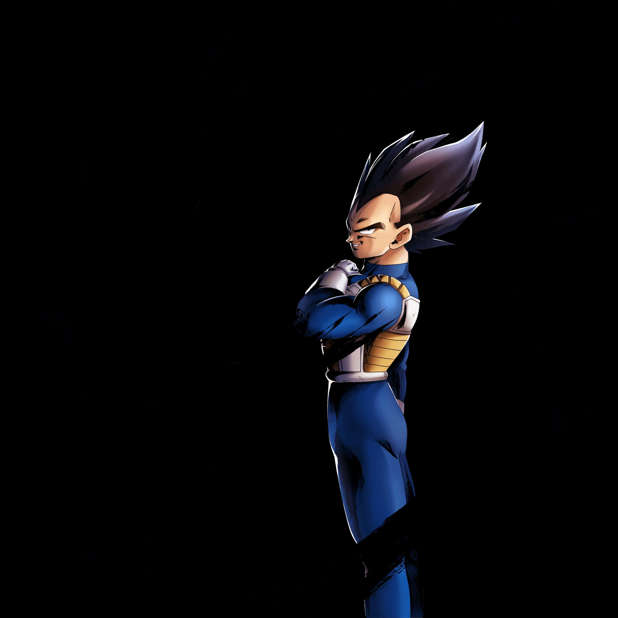 Proud Saiyan Prince Vegeta PNG