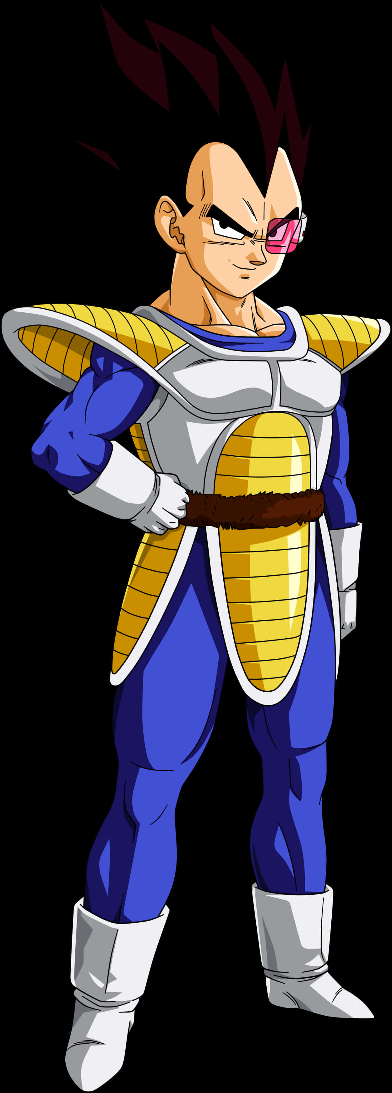 Proud Saiyan Warrior Vegeta PNG