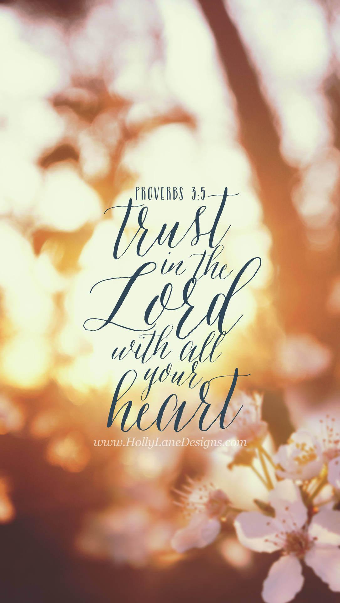 Proverbs 3:5 Versed Wallpaper