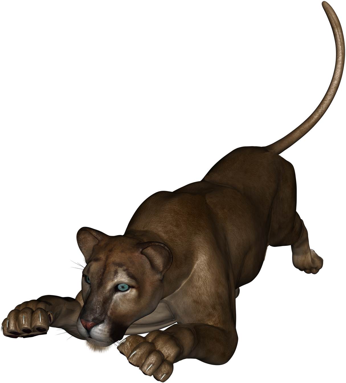 Prowling Lioness Graphic PNG