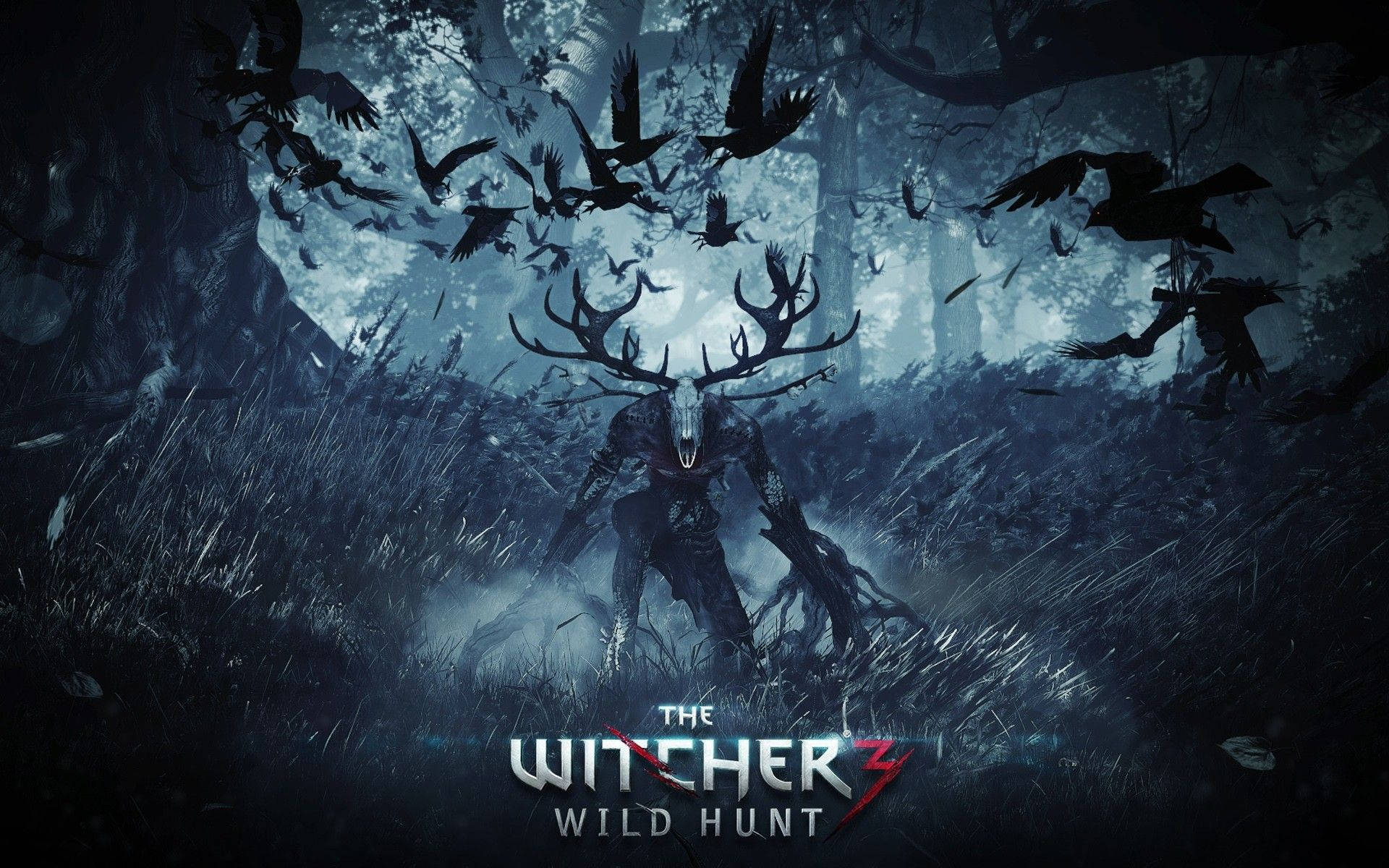 PS4 The Witcher 3: Wild Hunt dark desktop wallpaper.