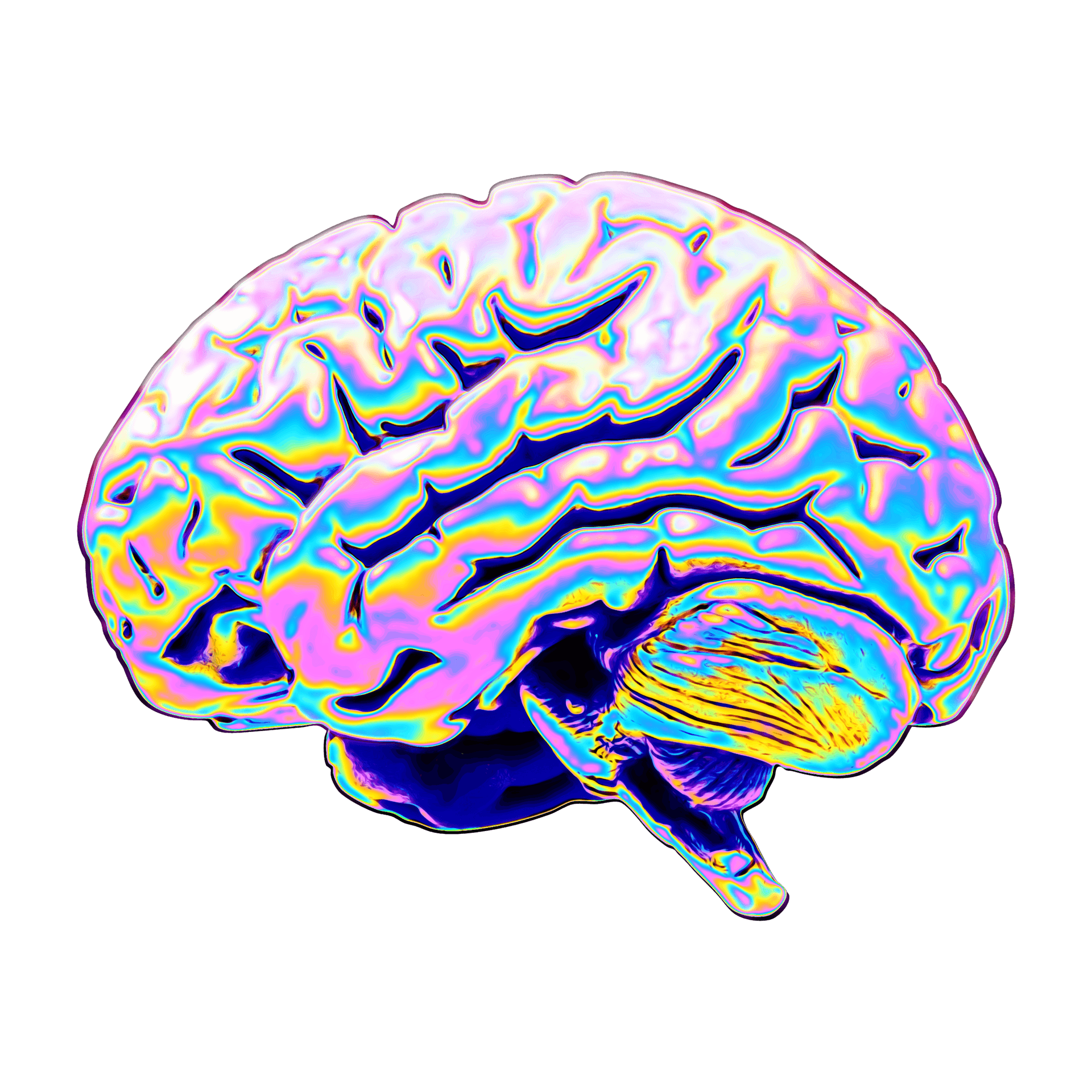 Psychedelic Brain Illustration PNG