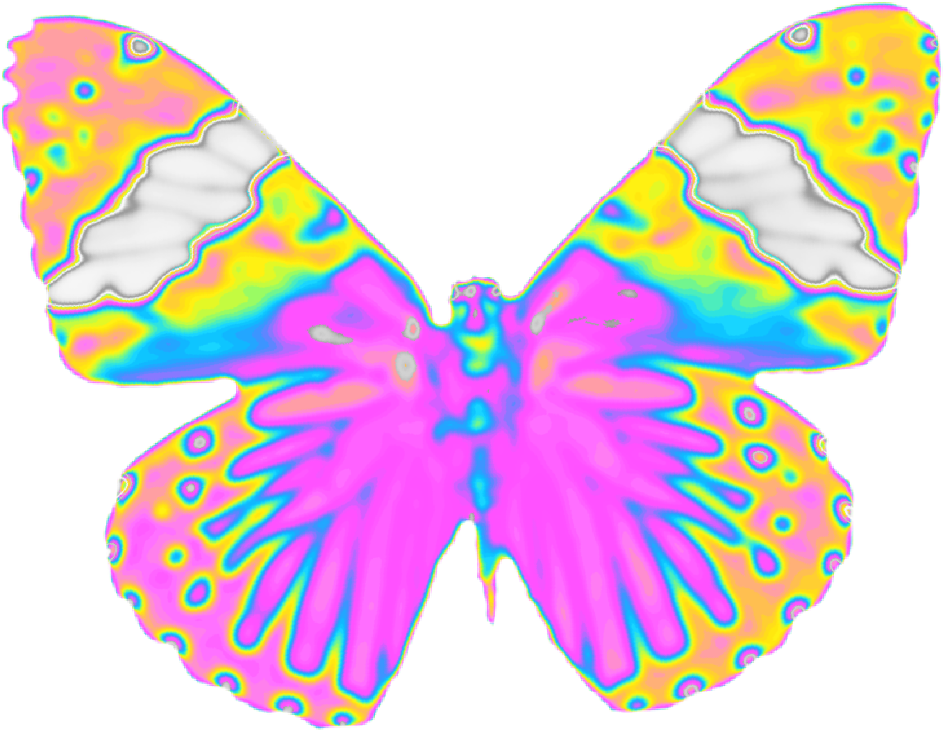 Psychedelic Butterfly Wings PNG