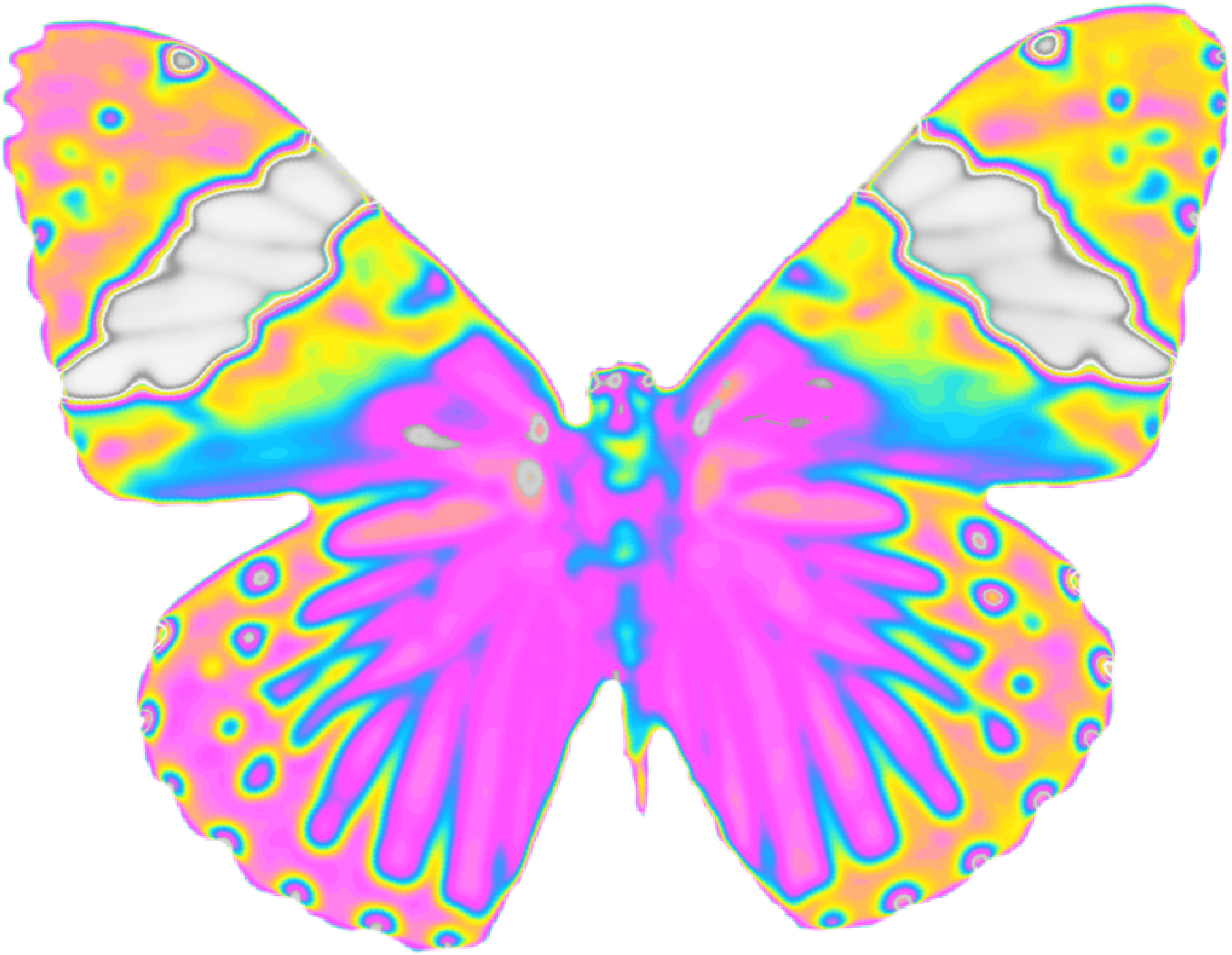 Download Psychedelic Butterfly Wings 2948