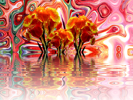 Psychedelic Floral Reflections PNG