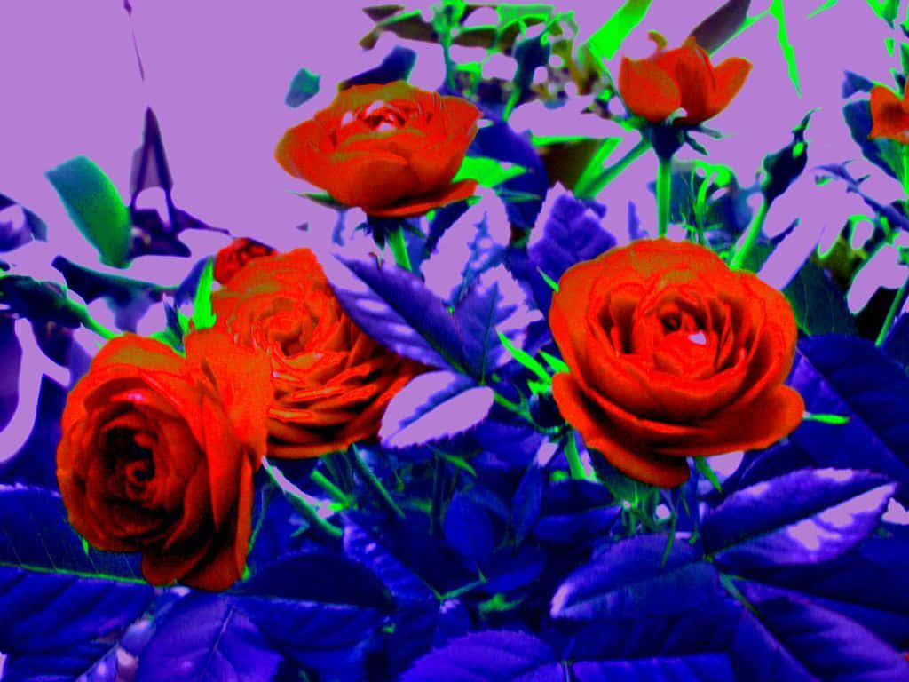 Explosiónde Flores Psicodélicas Vibrantes. Fondo de pantalla