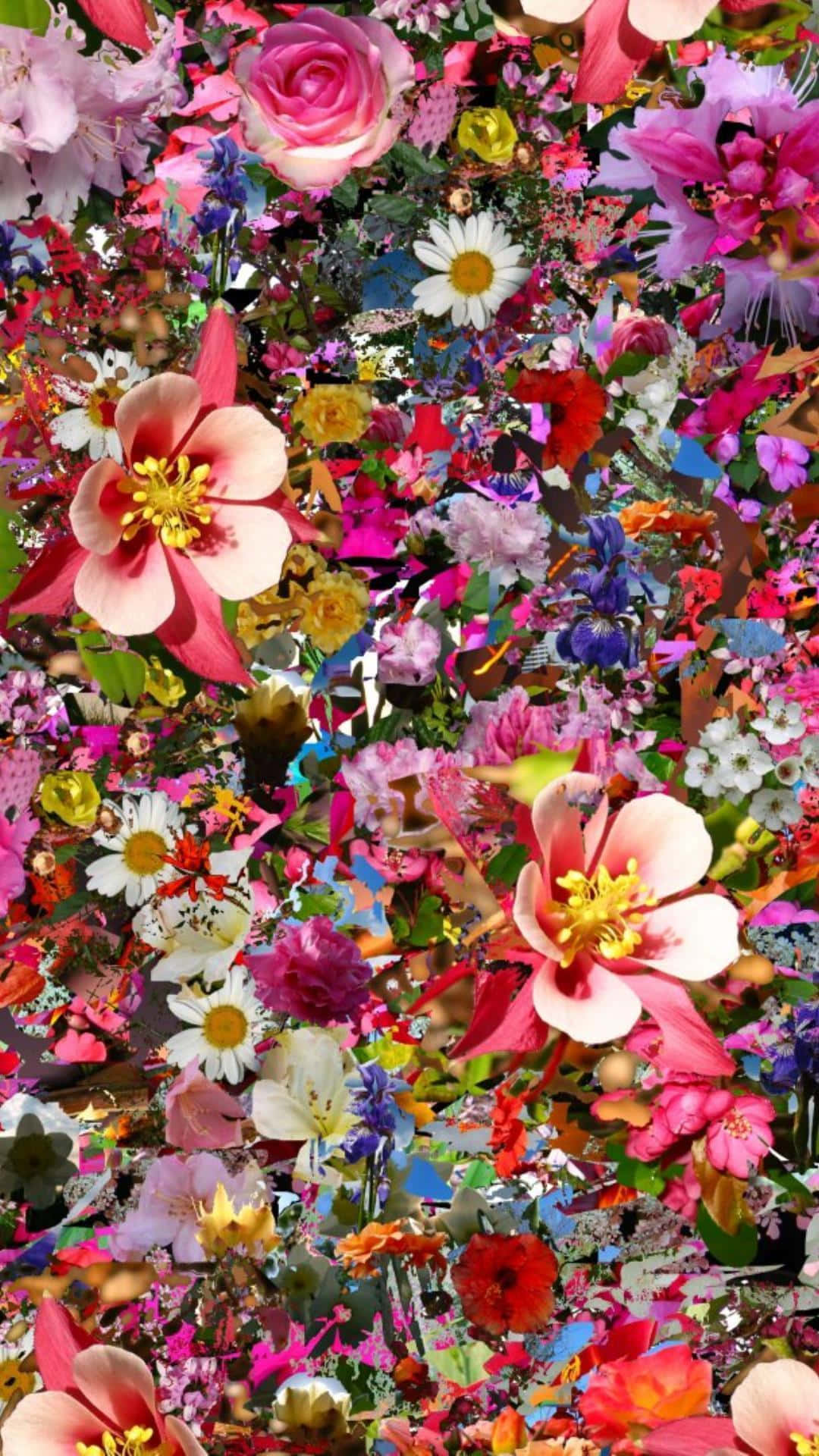 Floressurrealistas Y Psicodélicas Explotando De Colores Fondo de pantalla