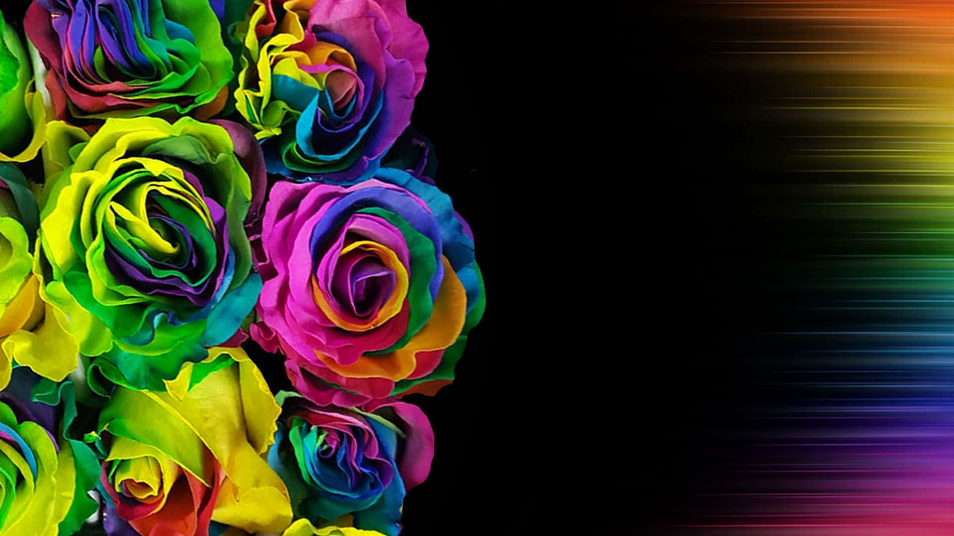 Vibrant Psychedelic Flower Explosion Wallpaper