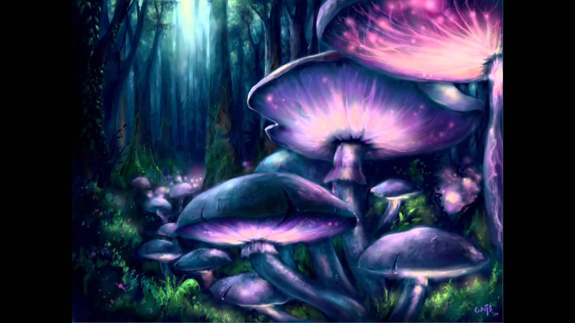 "The beauty of the psychedelic mushroom" Wallpaper