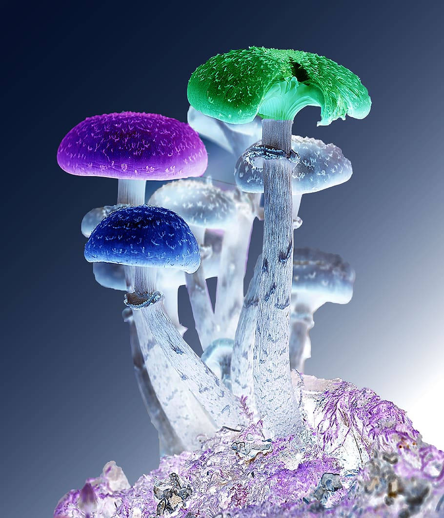Psychedelic Mushroom Neon Crystals Wallpaper