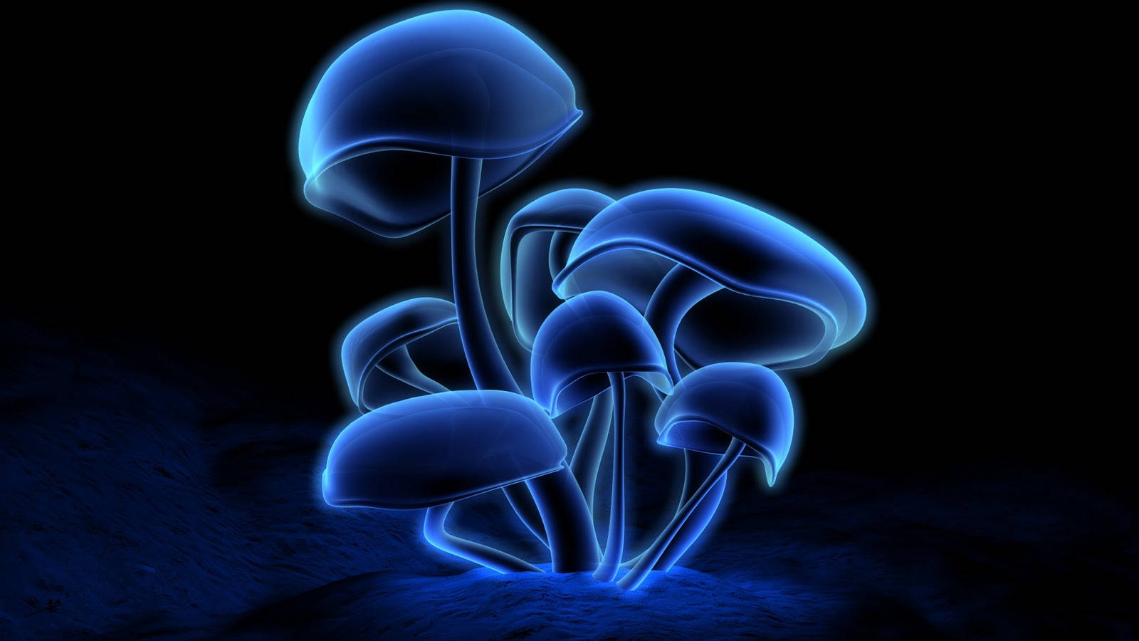 psychedelic Mushroom HD Wallpapers  Desktop and Mobile Images  Photos