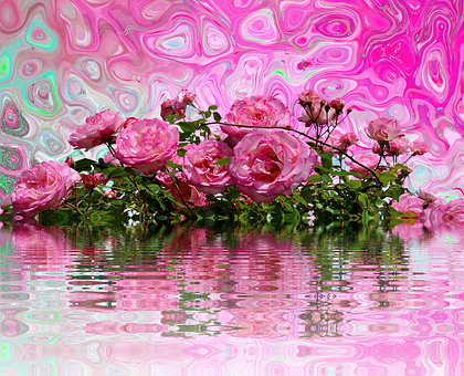 Psychedelic Pink Roses Reflection PNG