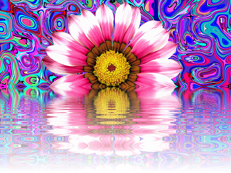 Psychedelic Summer Daisy Reflection PNG