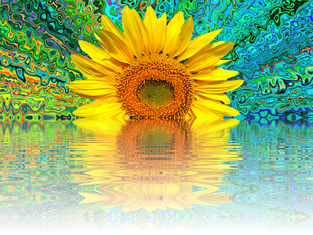 Psychedelic Sunflower Reflection PNG