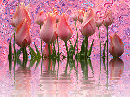 Psychedelic Tulips Reflection PNG