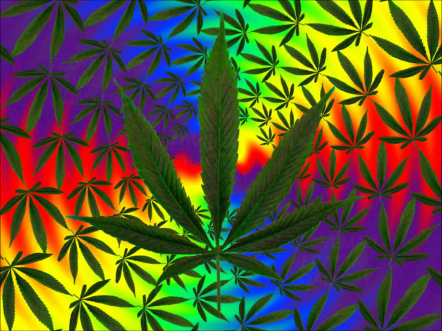 Psychedelic Weed Rainbow Art Wallpaper