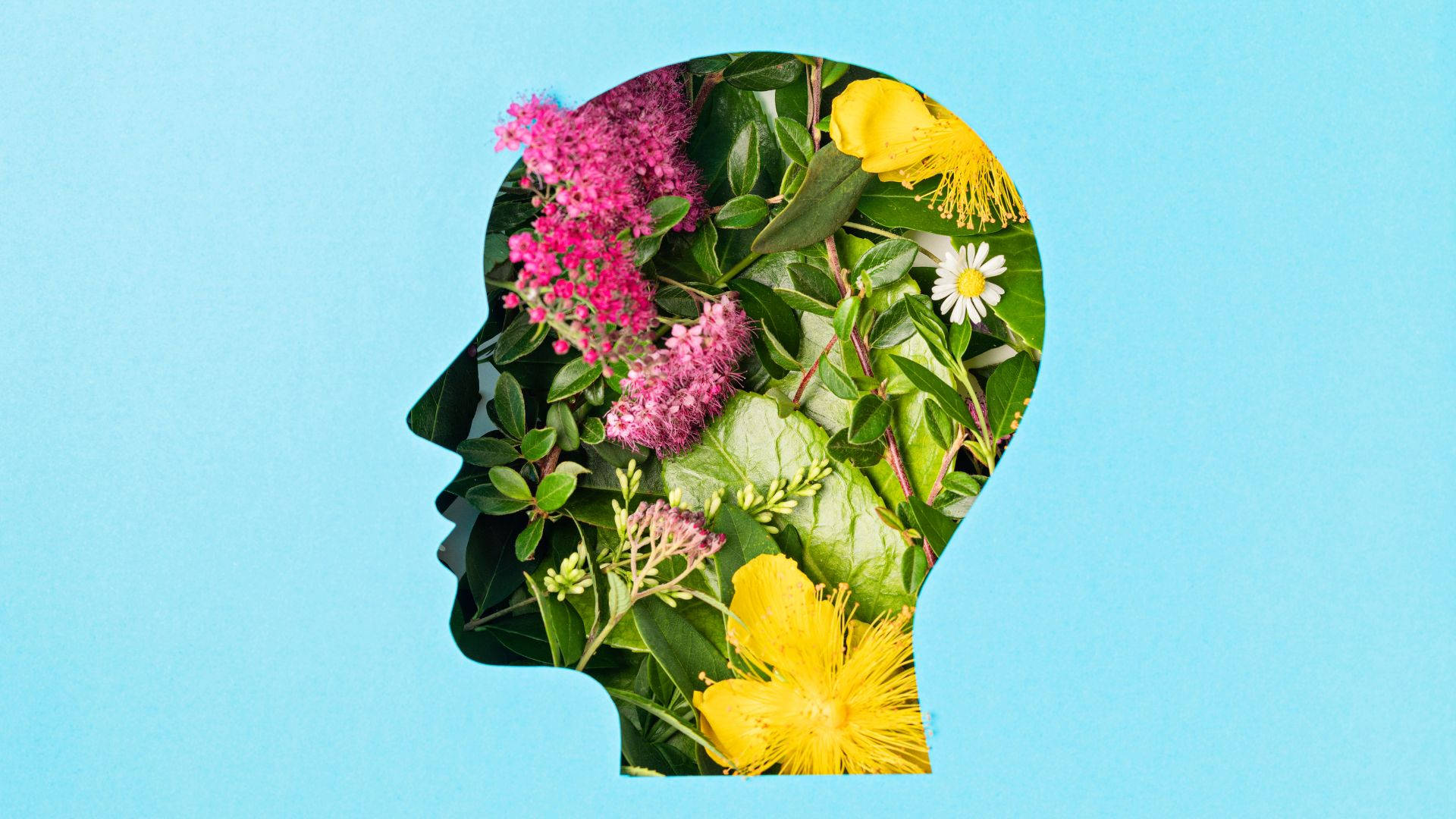 Psychology Blooming Human Mind Wallpaper