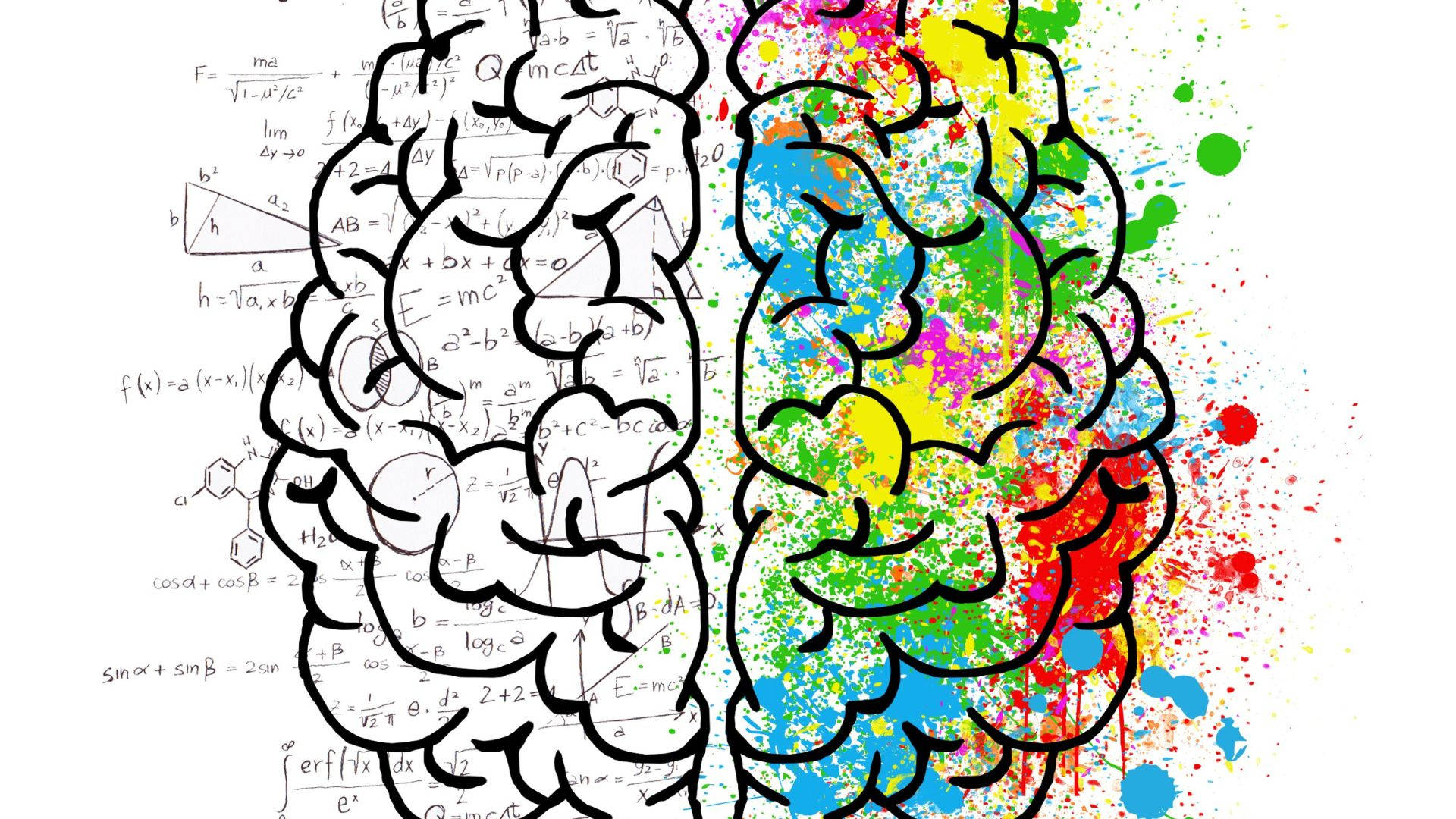 Psychology Colorful Brain Hemisphere Digital Art Wallpaper