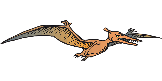 Pterosaur Illustration Black Background PNG