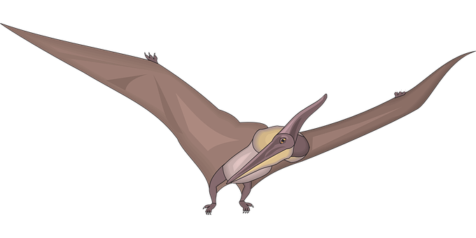 Pterosaur Illustration Flying Dinosaur PNG