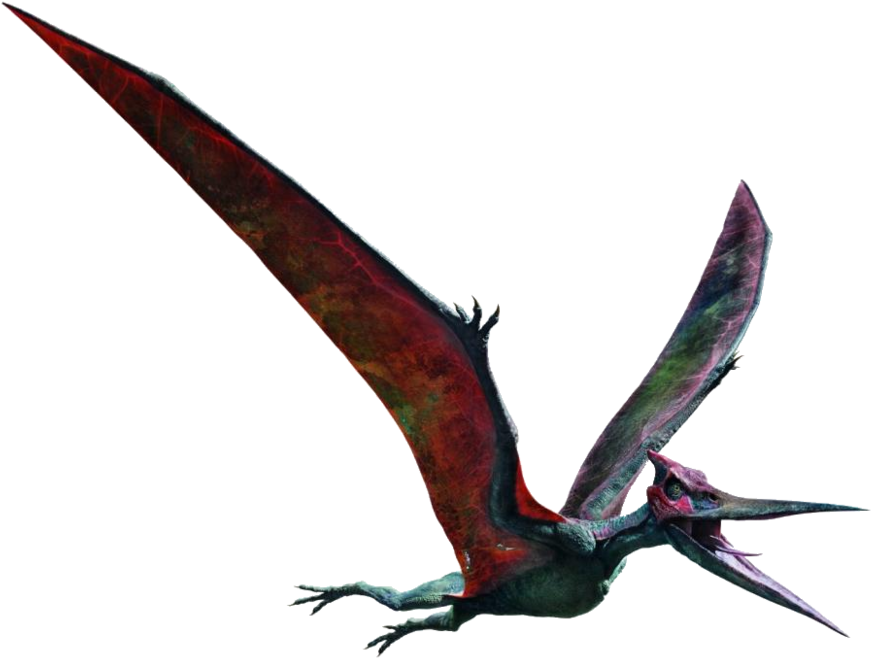 Pterosaur In Flight PNG