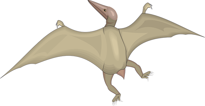 Pterosaur In Flight Illustration PNG