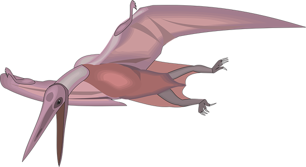 Pterosaur In Flight Illustration PNG