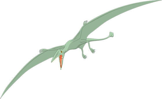 Pterosaur In Flight Illustration PNG