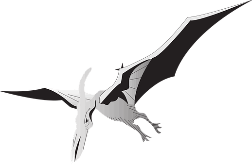 Pterosaur Silhouette Art PNG