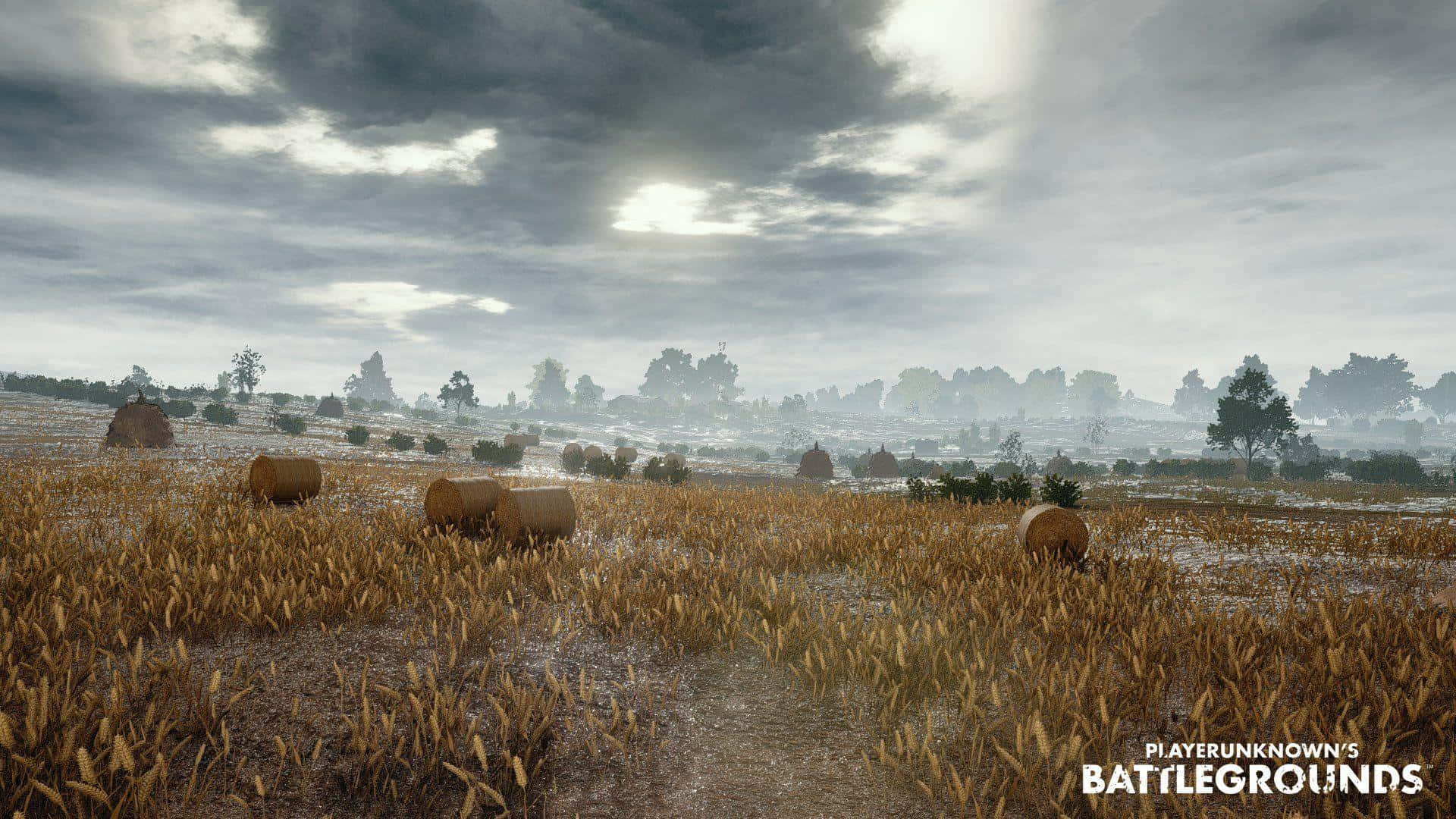 Pubg - A Field With Hay Bales